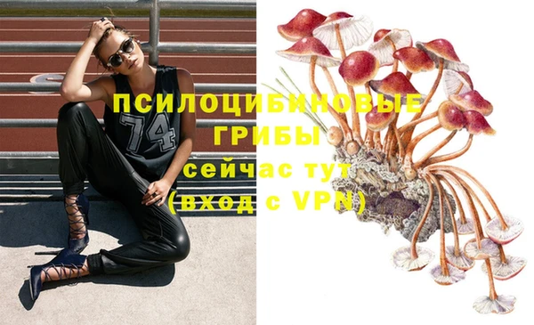 MESCALINE Богородицк