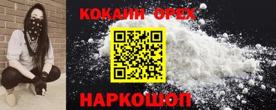 гидропоника Гатчина