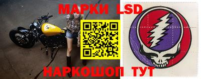гидропоника Гатчина