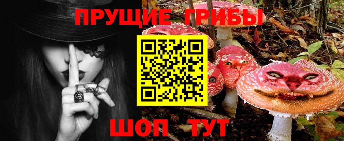 наркотики  Горно-Алтайск  Псилоцибиновые грибы Psilocybe 