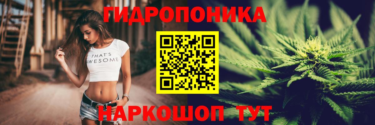 Бошки марихуана OG Kush Горно-Алтайск